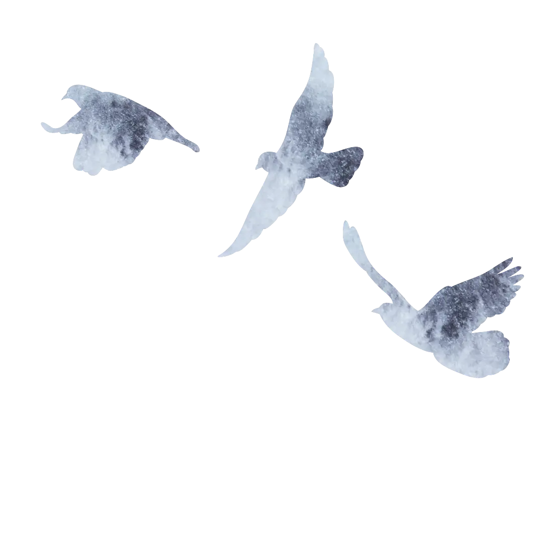 3 birds flying